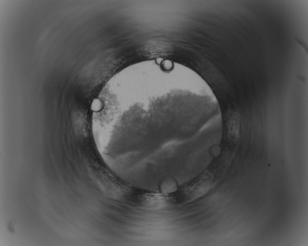 X0000103960316200810101250