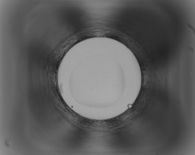 X0000103960317200810101250