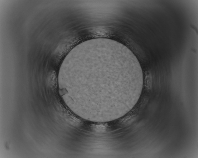 X0000103960318200810101250