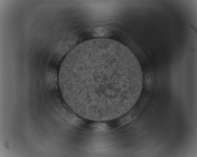 X0000103960322200810101250