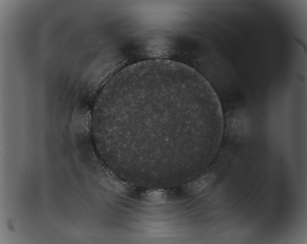 X0000103960325200810101250