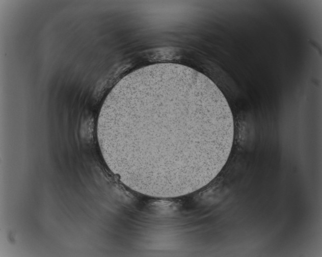 X0000103960326200810101250