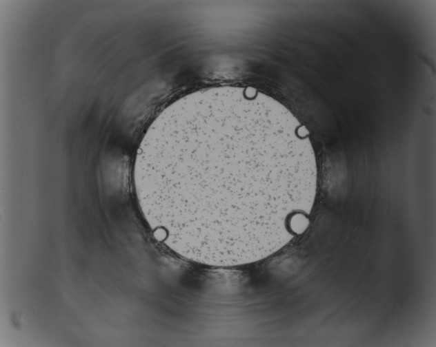 X0000103960328200810101250