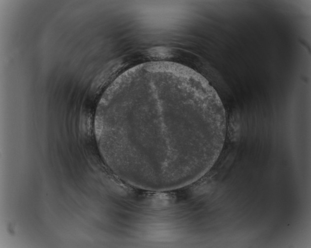 X0000103960330200810101250