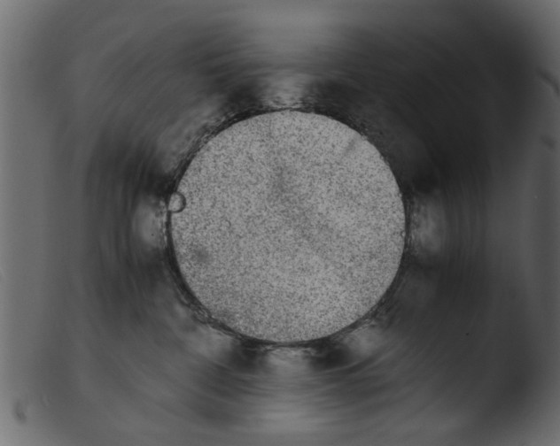 X0000103960332200810101250