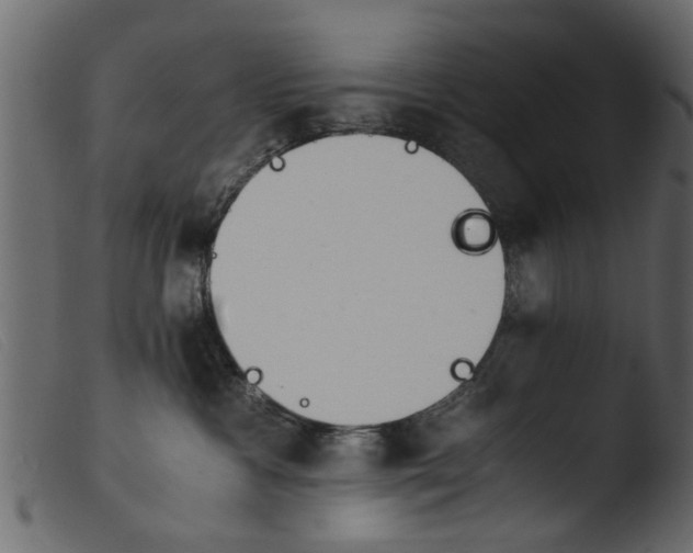 X0000103960333200810101250