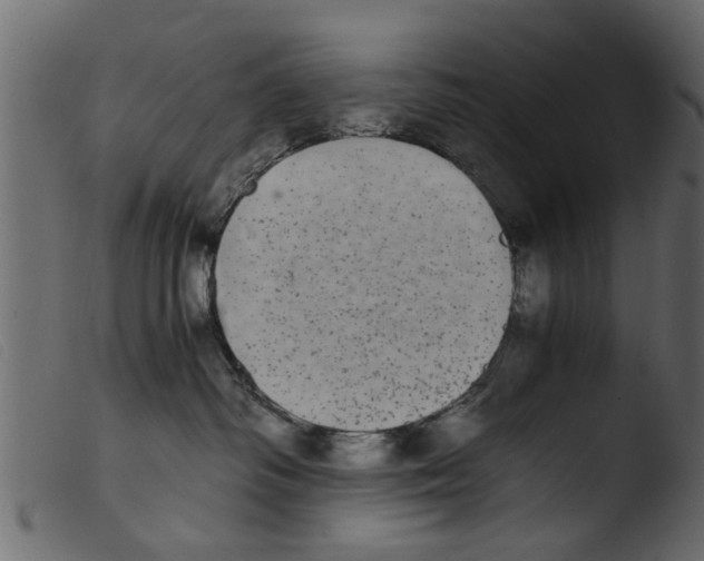 X0000103960334200810101250