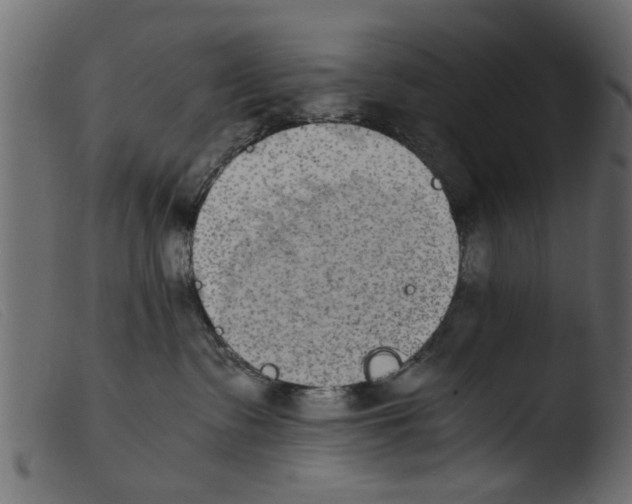 X0000103960335200810101250