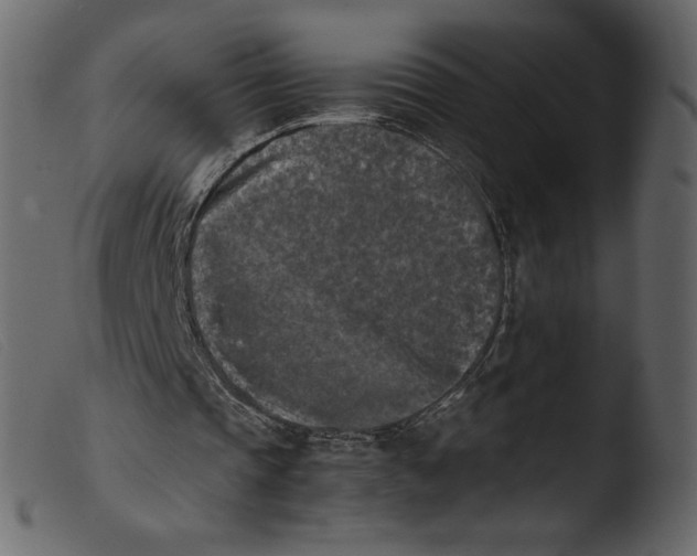 X0000103960337200810101249