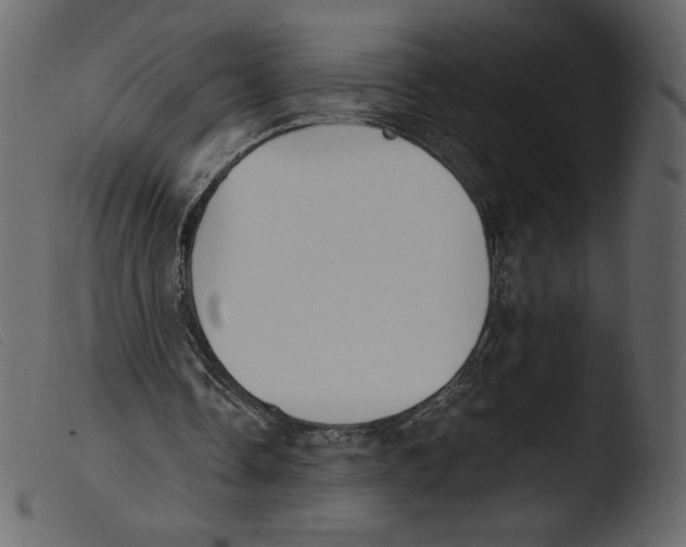 X0000103960338200810101249