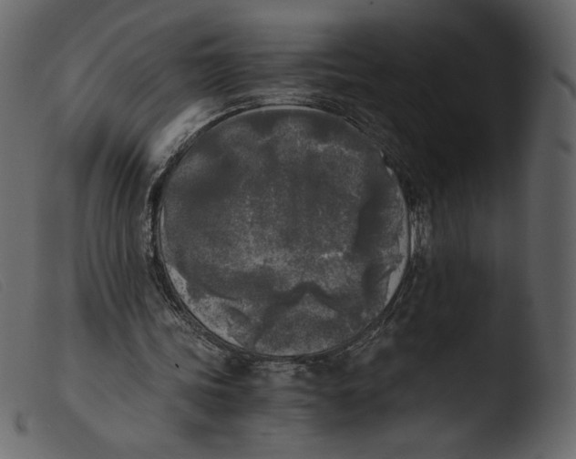 X0000103960339200810101249