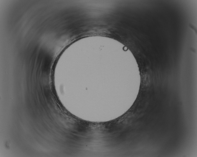 X0000103960340200810101249