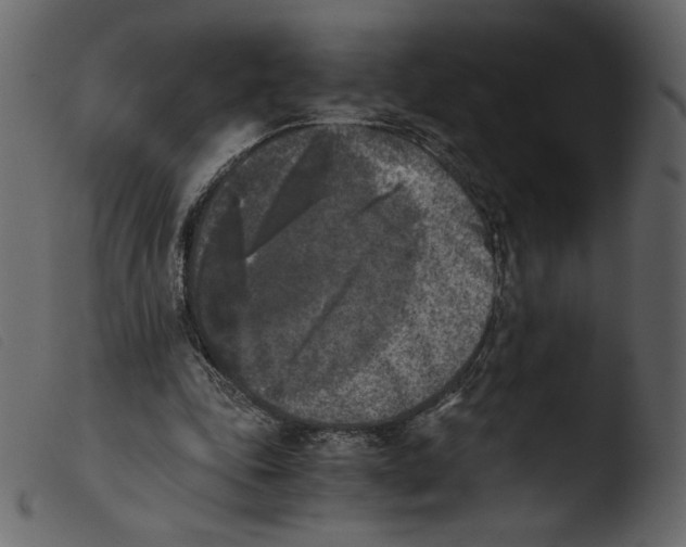 X0000103960343200810101249