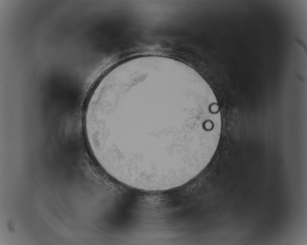 X0000103960344200810101249