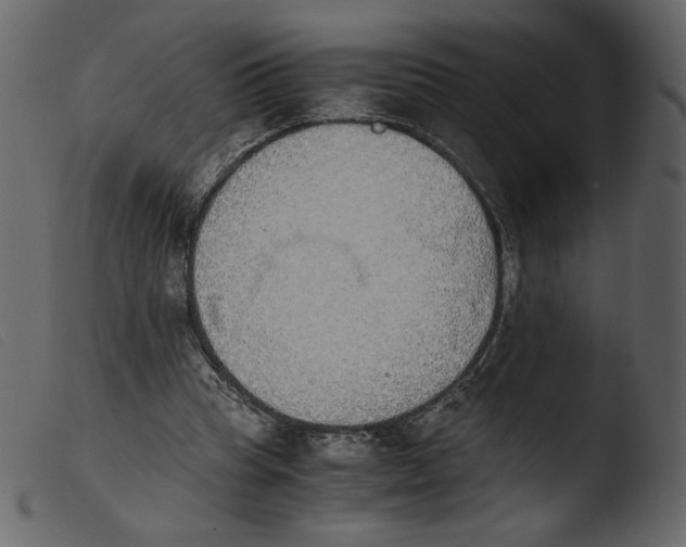 X0000103960345200810101249