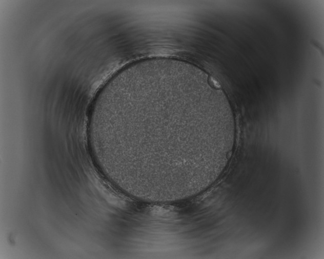 X0000103960346200810101249