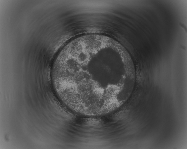 X0000103960347200810101249