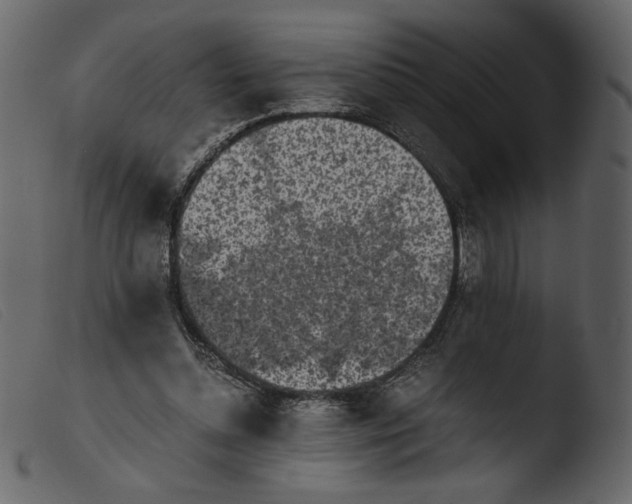 X0000103960348200810101249