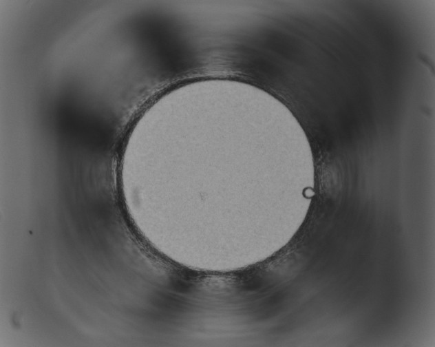 X0000103960350200810101249