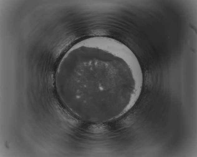 X0000103960351200810101249