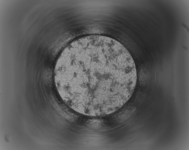 X0000103960352200810101249