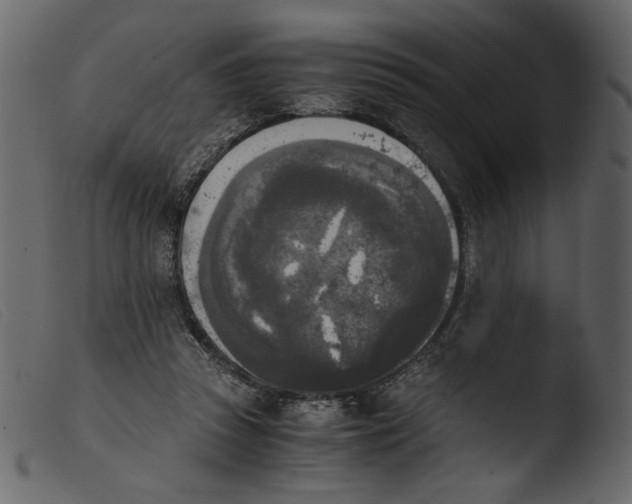 X0000103960353200810101249