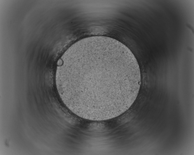 X0000103960354200810101249