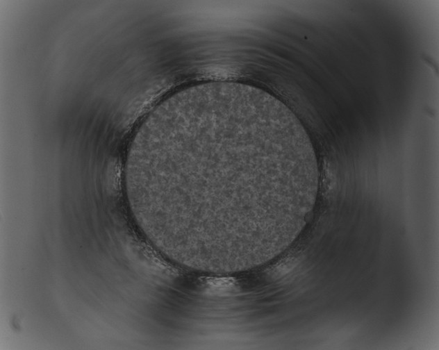 X0000103960355200810101249