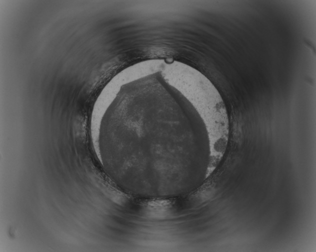 X0000103960357200810101249