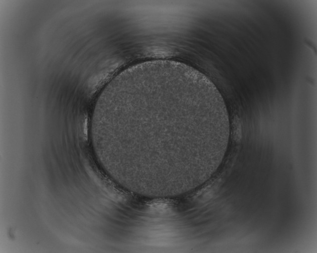 X0000103960358200810101249