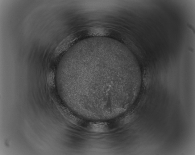 X0000103960359200810101249