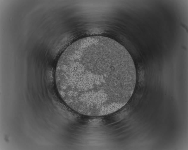 X0000103960362200810101250