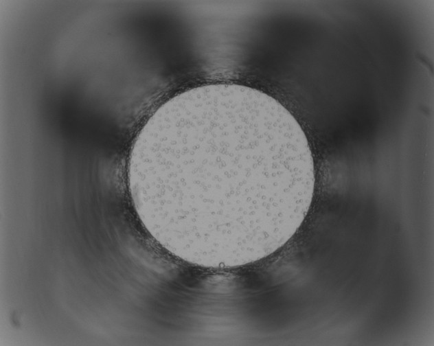 X0000103960364200810101250