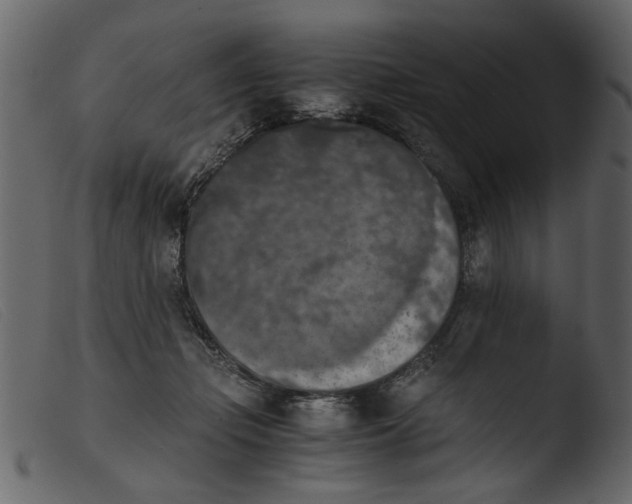 X0000103960365200810101250