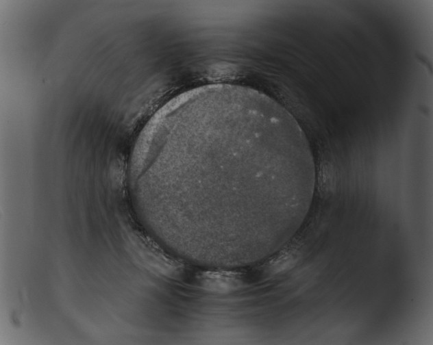 X0000103960367200810101250