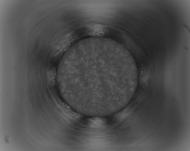 X0000103960370200810101250