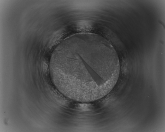 X0000103960371200810101250