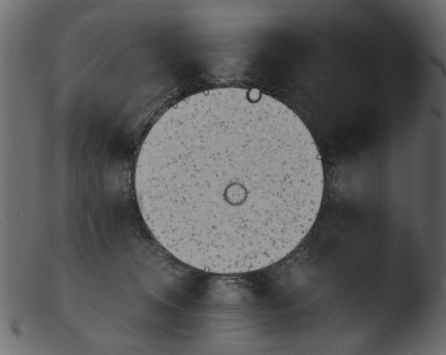 X0000103960372200810101250