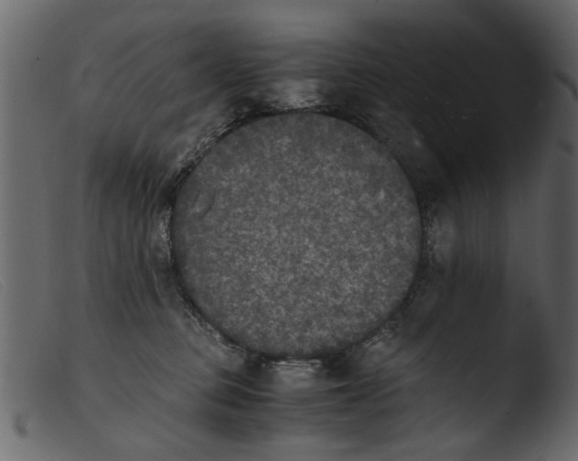 X0000103960373200810101250