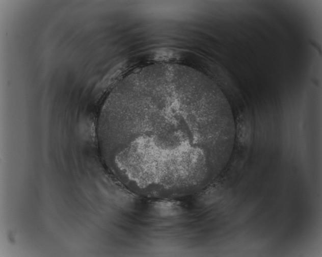 X0000103960375200810101250