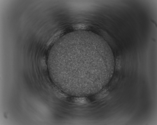 X0000103960377200810101250