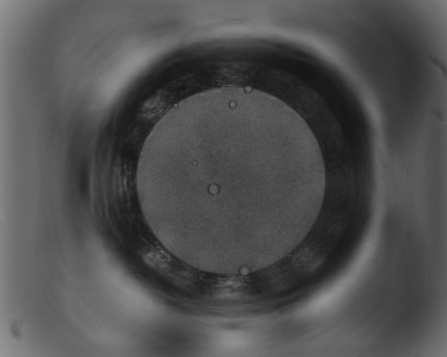 X0000103960382200810101250