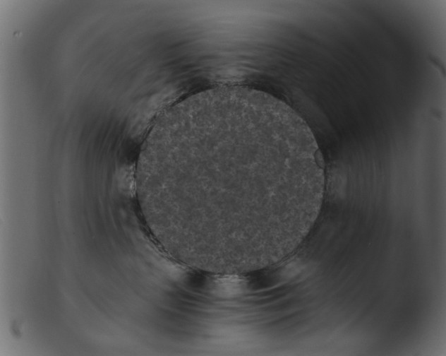 X0000103960383200810101250