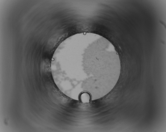 X0000103960384200810101250