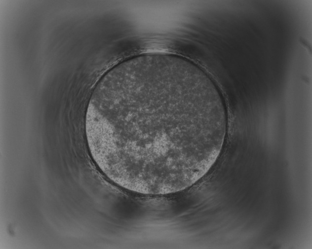 X0000103960385200810101249