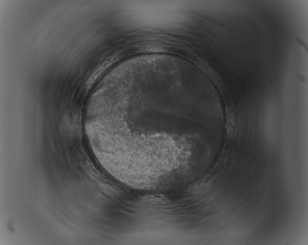 X0000103960386200810101249