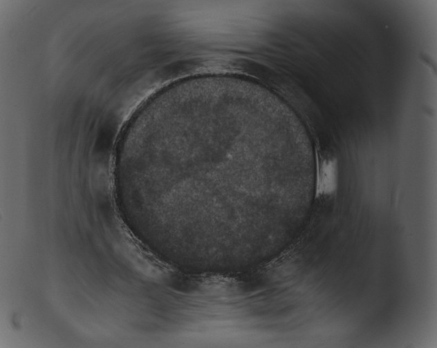 X0000103960387200810101249