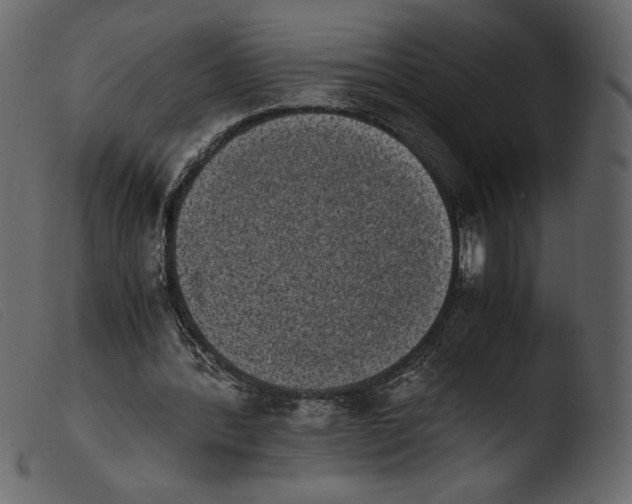 X0000103960388200810101249