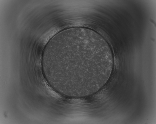 X0000103960389200810101249