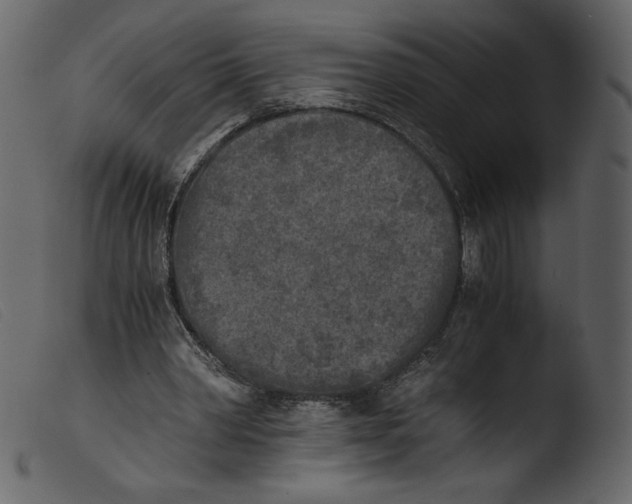 X0000103960390200810101249